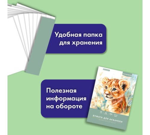 Папка для акварели БОЛЬШАЯ А3, 20 л., 200 г/м2, 297х420 мм, BRAUBERG АКАДЕМИЯ, 