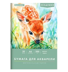 Папка для акварели А4, 20 л., 200 г/м2, 210х297 мм, BRAUBERG АКАДЕМИЯ, 