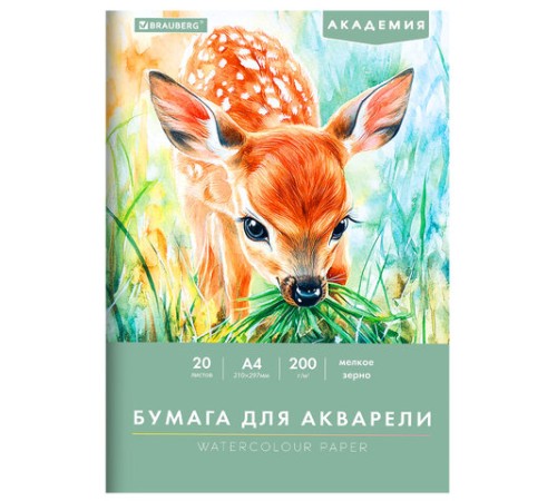 Папка для акварели А4, 20 л., 200 г/м2, 210х297 мм, BRAUBERG АКАДЕМИЯ, 