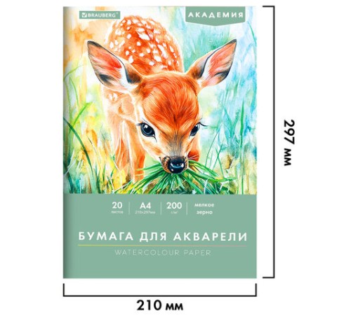 Папка для акварели А4, 20 л., 200 г/м2, 210х297 мм, BRAUBERG АКАДЕМИЯ, 