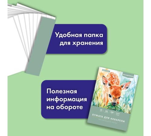Папка для акварели А4, 20 л., 200 г/м2, 210х297 мм, BRAUBERG АКАДЕМИЯ, 