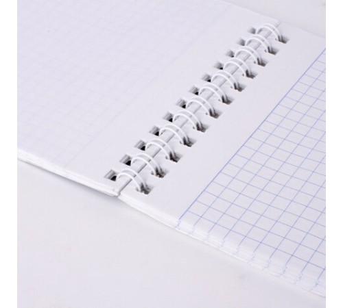 Блокнот МАЛЫЙ ФОРМАТ А6 108х146 мм, 48 л., гребень, мелованная картонная обложка, клетка, BRAUBERG, 