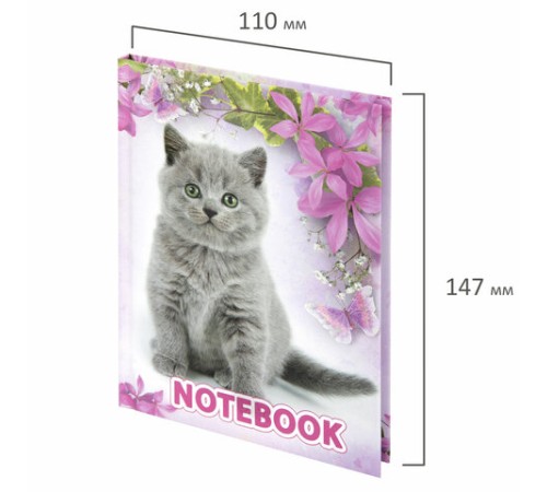 Блокнот МАЛЫЙ ФОРМАТ 110х147 мм, А6, 80 л., твердый, клетка, выборочный лак, BRAUBERG, 