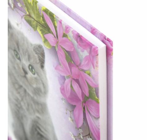 Блокнот МАЛЫЙ ФОРМАТ 110х147 мм, А6, 80 л., твердый, клетка, выборочный лак, BRAUBERG, 