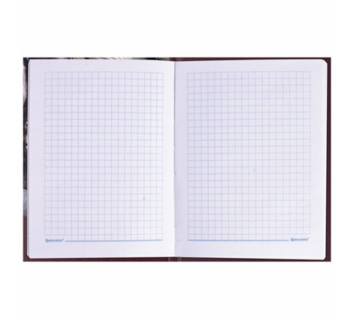 Блокнот МАЛЫЙ ФОРМАТ 110х147 мм, А6, 80 л., твердый, клетка, выборочный лак, BRAUBERG, 