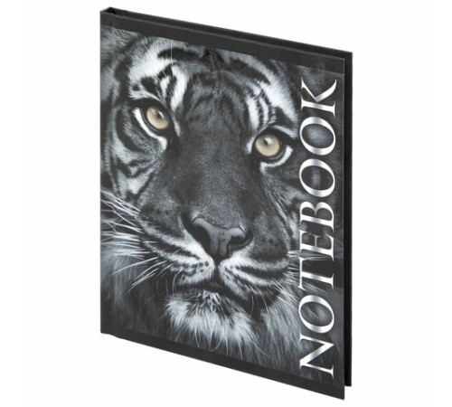 Блокнот МАЛЫЙ ФОРМАТ 110х147 мм, А6, 80 л., твердый, клетка, выборочный лак, BRAUBERG, 