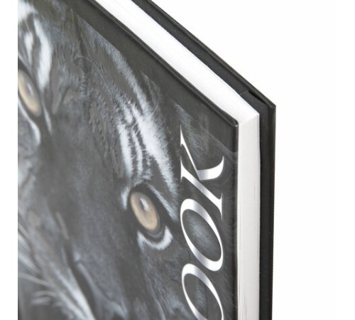 Блокнот МАЛЫЙ ФОРМАТ 110х147 мм, А6, 80 л., твердый, клетка, выборочный лак, BRAUBERG, 