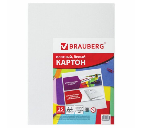 Картон белый А4 МЕЛОВАННЫЙ (белый оборот), 25 листов, BRAUBERG, 210х297 мм, 124021