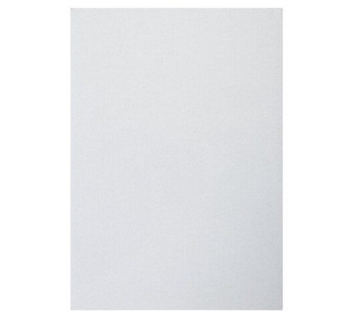 Картон белый А4 МЕЛОВАННЫЙ (белый оборот), 25 листов, BRAUBERG, 210х297 мм, 124021