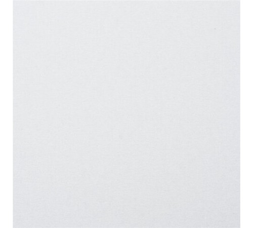 Картон белый А4 МЕЛОВАННЫЙ (белый оборот), 25 листов, BRAUBERG, 210х297 мм, 124021