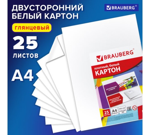 Картон белый А4 МЕЛОВАННЫЙ (белый оборот), 25 листов, BRAUBERG, 210х297 мм, 124021