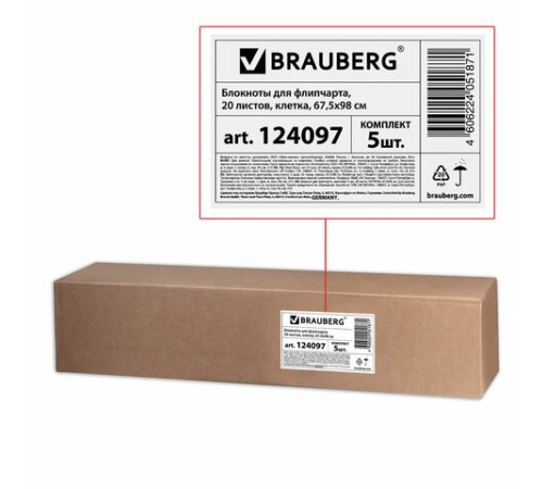 Блокноты для флипчарта ПЛОТНЫЕ 80 г/м2, BRAUBERG, 67,5х98 см, КОМПЛЕКТ 5 шт., 20 л., клетка, 124097