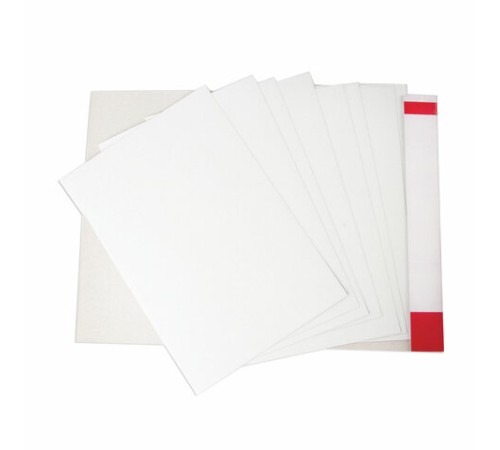 Картон белый БОЛЬШОГО ФОРМАТА, А2 МЕЛОВАННЫЙ (глянцевый), 10 листов, в папке, BRAUBERG, 400х590 мм, 124764