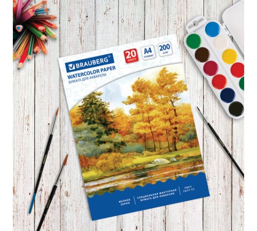 Бумага для акварели А4, 20 л., 200 г/м2, 210х297 мм, BRAUBERG, 