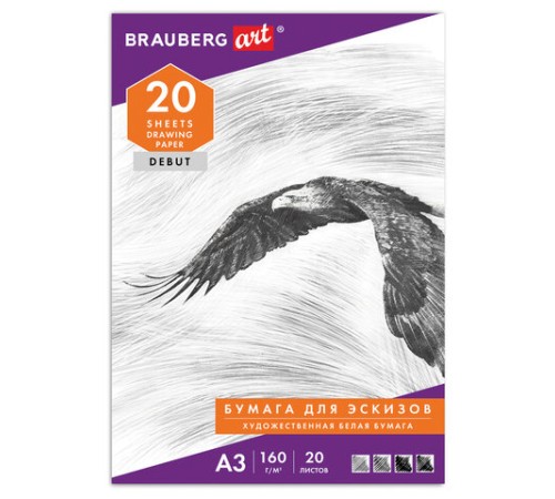 Папка для рисования БОЛЬШОГО ФОРМАТА А3, 20 л., 160 г/м2, BRAUBERG, 297х420 мм, 