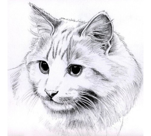 Папка для рисования БОЛЬШОГО ФОРМАТА А3, 20 л., 160 г/м2, BRAUBERG, 297х420 мм, 