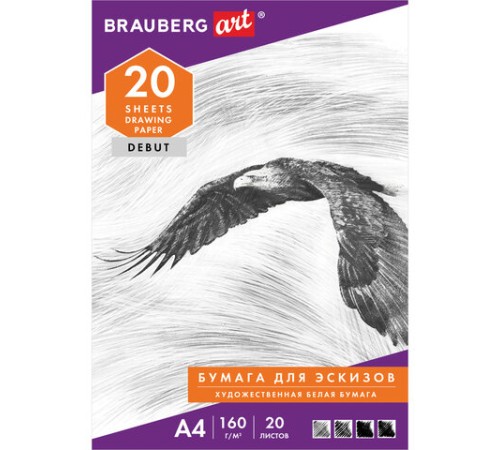 Папка для рисования А4, 20 л., 160 г/м2, BRAUBERG, 210х297 мм, 