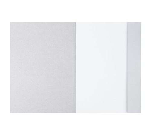 Папка для рисования А4, 20 л., 160 г/м2, BRAUBERG, 210х297 мм, 