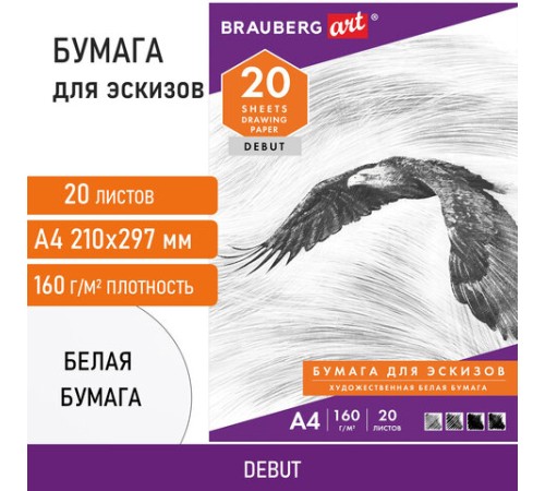 Папка для рисования А4, 20 л., 160 г/м2, BRAUBERG, 210х297 мм, 