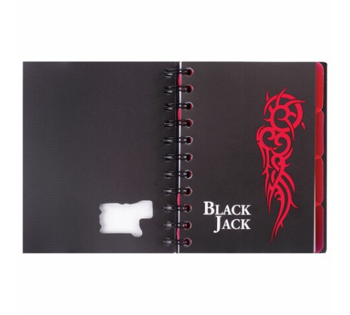 Блокнот МАЛЫЙ ФОРМАТ А6 105х148 мм, 150 л., гребень, пластик, клетка, BRAUBERG, 