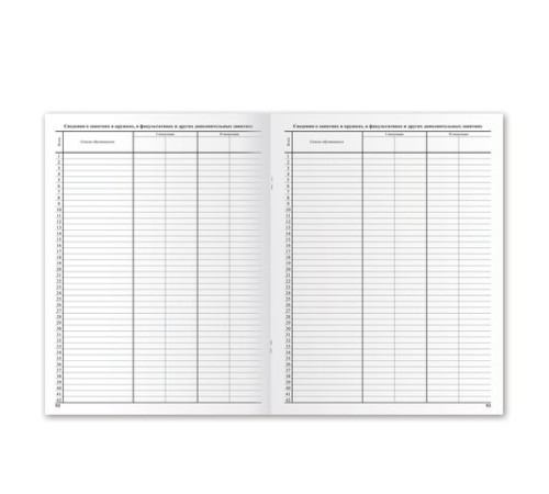 Классный журнал BRAUBERG 5-11 кл. (универсальный), А4 200х290 мм, твердая ламинированная обложка, офсет, 125686