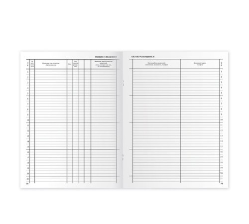 Классный журнал BRAUBERG 5-11 кл. (универсальный), А4 200х290 мм, твердая ламинированная обложка, офсет, 125686