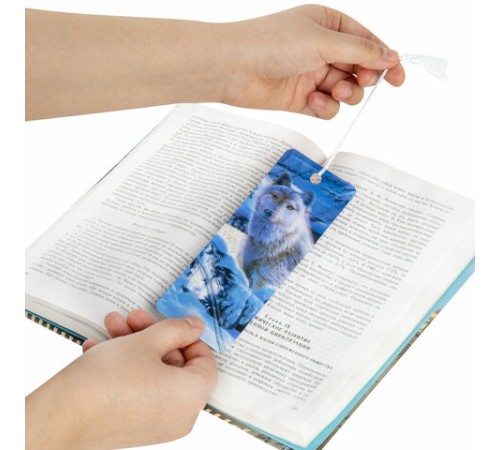 Закладка для книг с линейкой 3D-ОБЪЕМНАЯ BRAUBERG, 