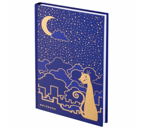 Блокнот А5 134х206 мм, 80 л., твердый, клетка, тиснение фольгой, BRAUBERG, 