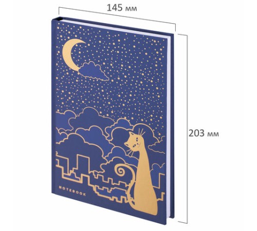 Блокнот А5 134х206 мм, 80 л., твердый, клетка, тиснение фольгой, BRAUBERG, 