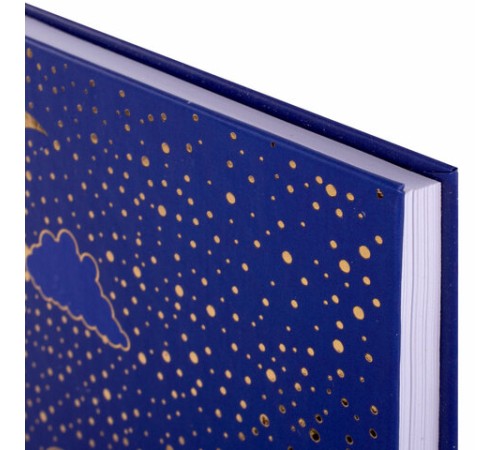 Блокнот А5 134х206 мм, 80 л., твердый, клетка, тиснение фольгой, BRAUBERG, 