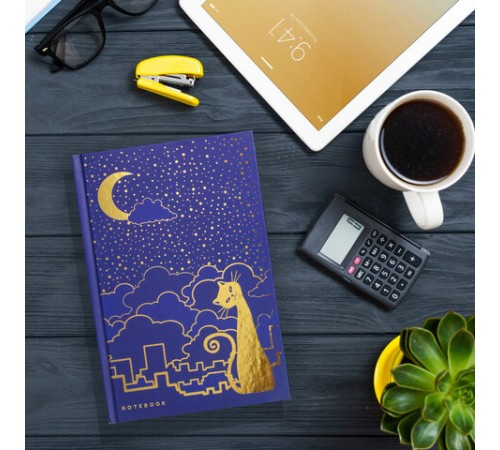 Блокнот А5 134х206 мм, 80 л., твердый, клетка, тиснение фольгой, BRAUBERG, 