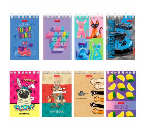 Блокнот МАЛЫЙ ФОРМАТ А7 65х100 мм, 40 л., гребень, картон, клетка, дисплей, HATBER, Ассорти, 031285, 40Б7B1гр