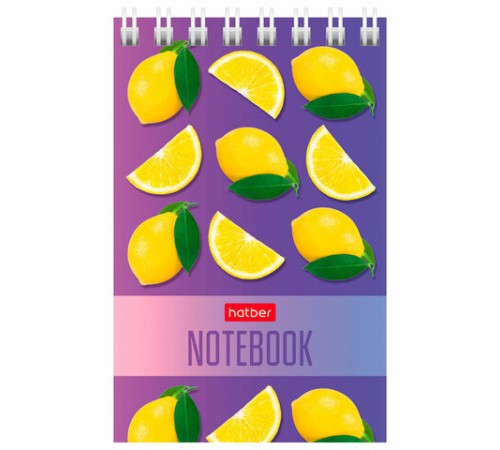 Блокнот МАЛЫЙ ФОРМАТ А7 65х100 мм, 40 л., гребень, картон, клетка, дисплей, HATBER, Ассорти, 031285, 40Б7B1гр