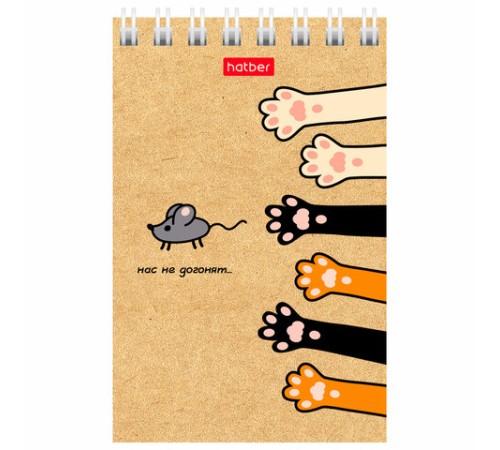 Блокнот МАЛЫЙ ФОРМАТ А7 65х100 мм, 40 л., гребень, картон, клетка, дисплей, HATBER, Ассорти, 031285, 40Б7B1гр