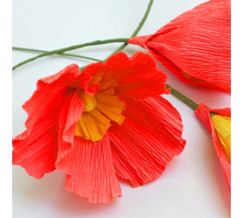 Бумага гофрированная/креповая, 32 г/м2, 50х250 см, красная, в рулоне, BRAUBERG, 126531