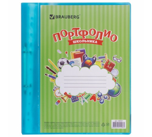 Папка для портфолио школьника, 2 кольца, 20 файлов, пластик, полупрозрачный, синяя, BRAUBERG, 126557