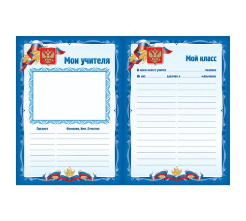 Листы-вкладыши для портфолио школьника, 30 разделов, 32 листа, 