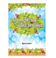 Листы-вкладыши для портфолио школьника, 14 разделов, 16 листов, 