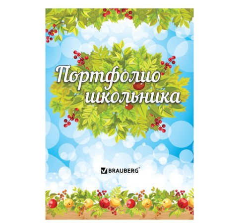 Листы-вкладыши для портфолио школьника, 14 разделов, 16 листов, 