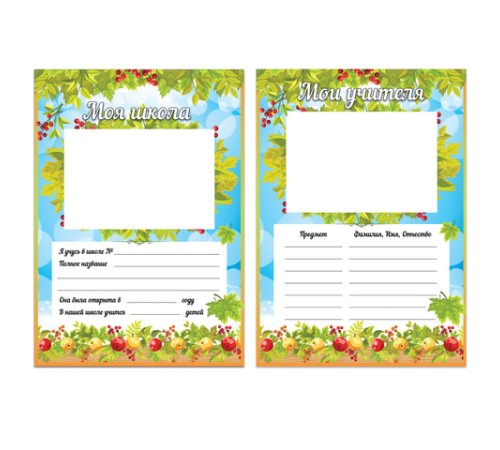 Листы-вкладыши для портфолио школьника, 14 разделов, 16 листов, 