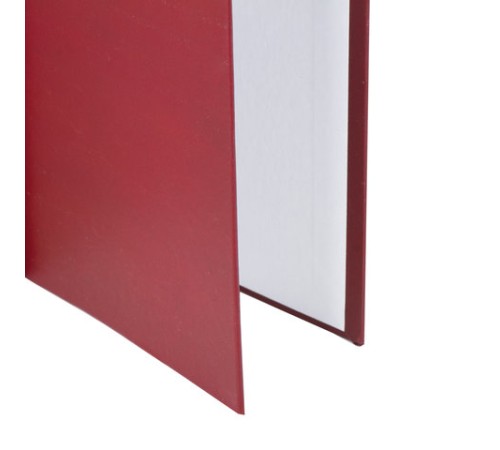 Папка-обложка для дипломного проекта STAFF, А4, 215х305 мм, фольга, 3 отверстия под дырокол, шнур, бордовая, 127209