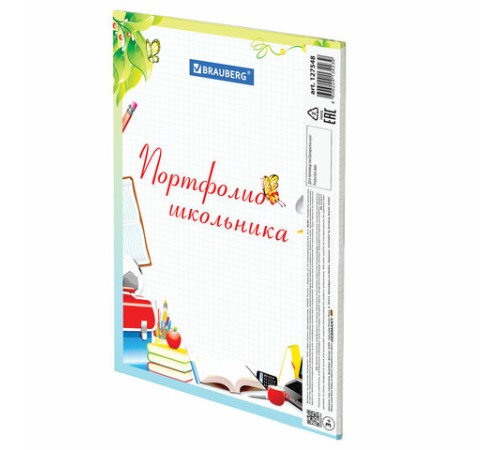 Листы-вкладыши для портфолио школьника, 14 разделов, 16 листов, 