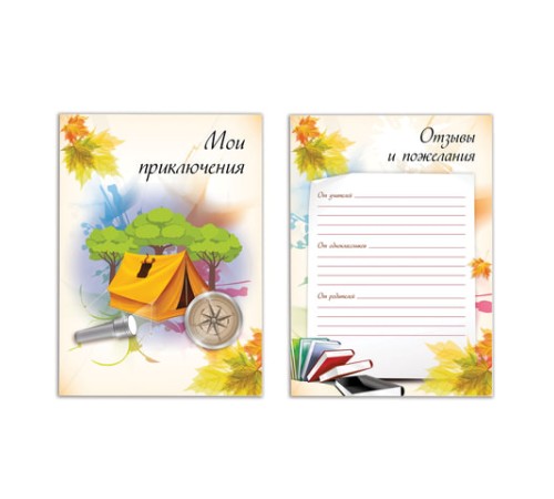 Листы-вкладыши для портфолио ШКОЛЬНИКА, 30 разделов, 32 листа, 