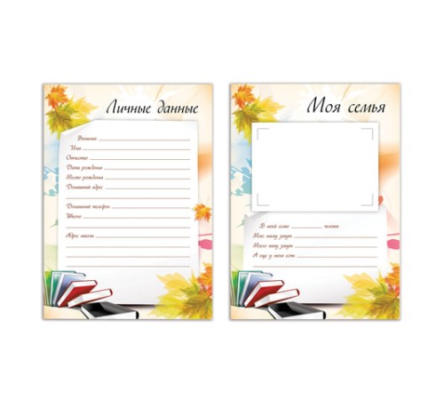 Листы-вкладыши для портфолио ШКОЛЬНИКА, 30 разделов, 32 листа, 