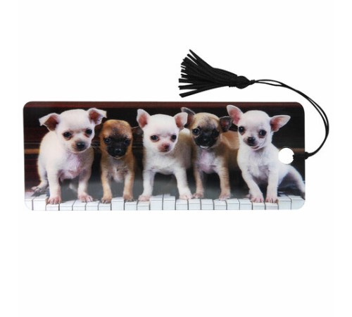 Закладка для книг с линейкой 3D-ОБЪЕМНАЯ BRAUBERG, 