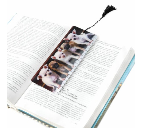 Закладка для книг с линейкой 3D-ОБЪЕМНАЯ BRAUBERG, 