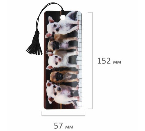 Закладка для книг с линейкой 3D-ОБЪЕМНАЯ BRAUBERG, 