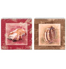 Скетчбук, белая бумага 160 г/м2, 190х190 мм, 60 л., гребень, жёсткая подложка, 2610