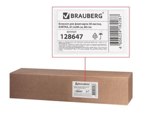 Блокнот для флипчарта ПЛОТНЫЙ 80 г/м2, BRAUBERG, 67,5х98 см, 50 листов, белый (КЛЕТКА), 128647