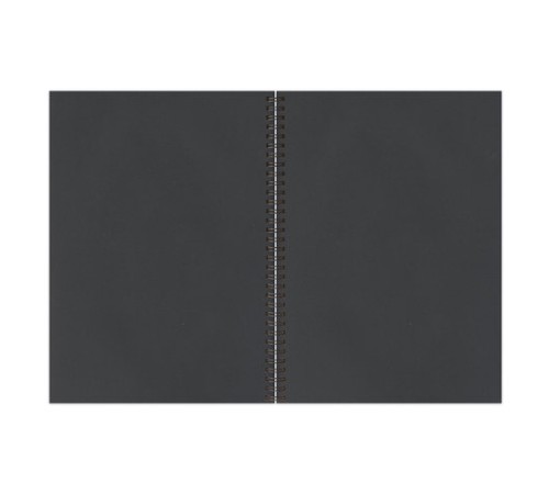 Скетчбук, черная бумага 120 г/м2, 210х297 мм, 32 л., гребень, BRAUBERG ART CLASSIC, 128951